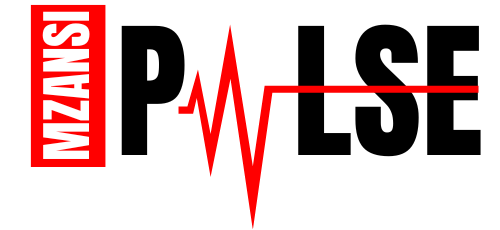 Mzansi Pulse | JustMoney inaugural survey results – Money and Me